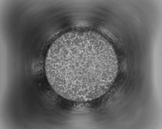 X0000095930824200802011019