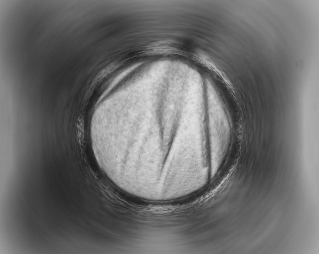 X0000095930825200802011019