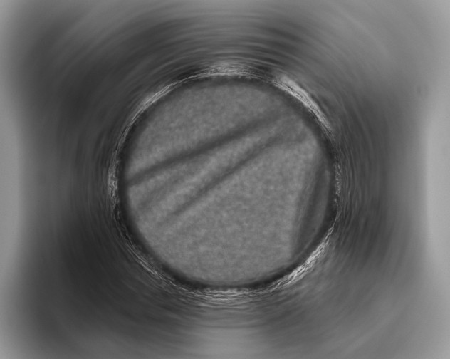 X0000095930826200802011019