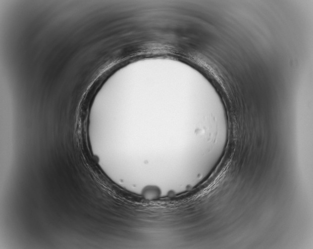 X0000095930827200802011019