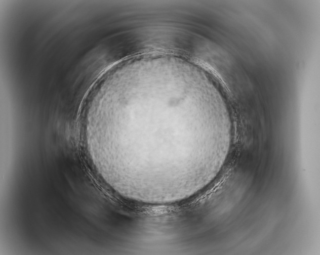 X0000095930828200802011019
