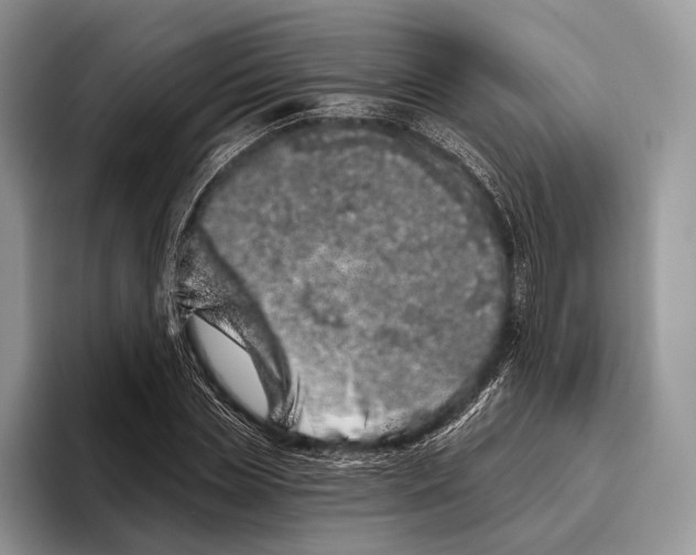 X0000095930829200802011019