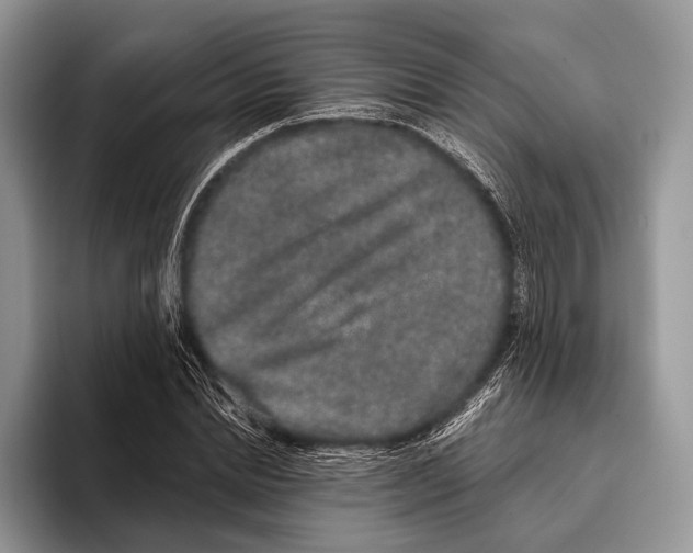 X0000095930830200802011019