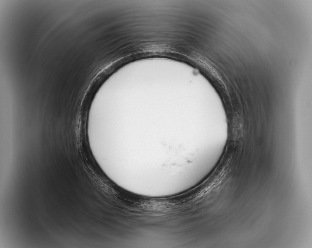 X0000095930831200802011019