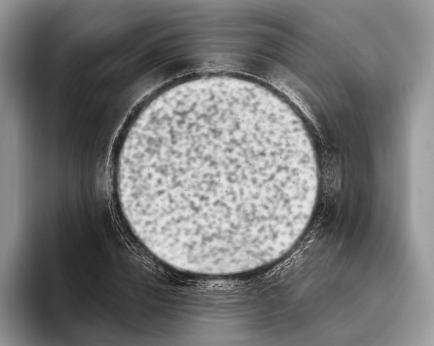 X0000095930832200802011019