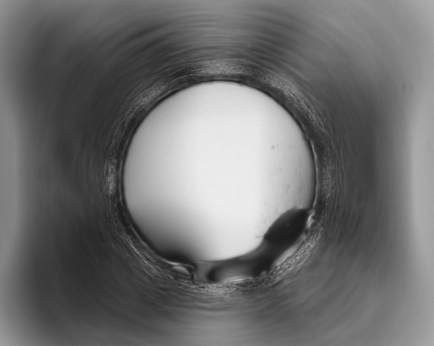 X0000095930833200802011019