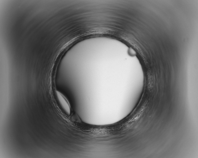X0000095930834200802011019