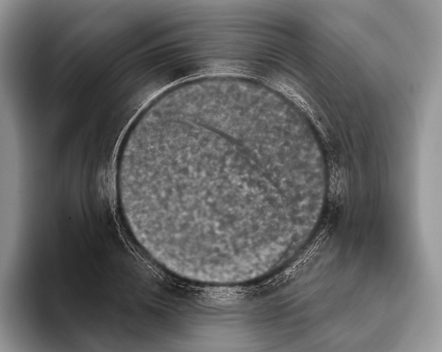 X0000095930836200802011019