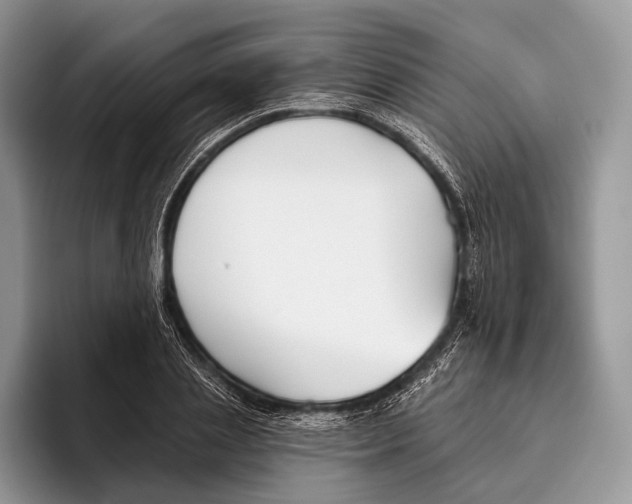 X0000095930837200802011019