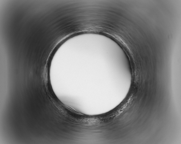 X0000095930838200802011019