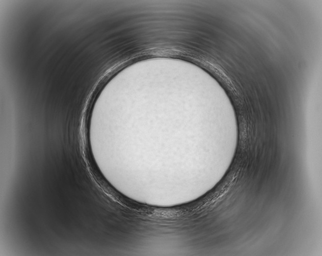 X0000095930840200802011019
