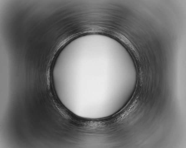 X0000095930842200802011019
