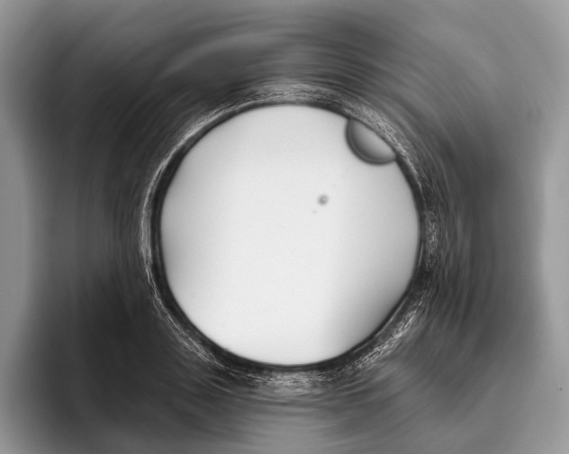 X0000095930843200802011019