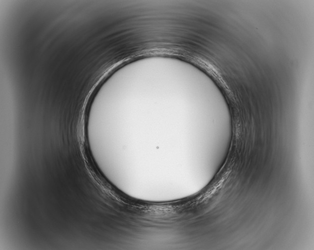 X0000095930844200802011019