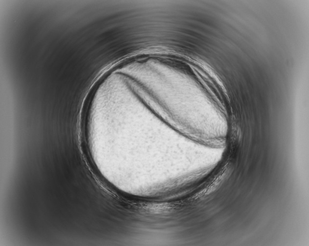 X0000095930845200802011019