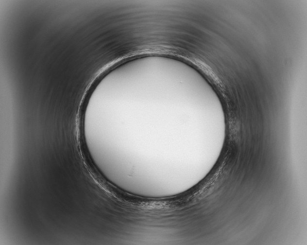 X0000095930846200802011019