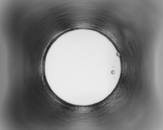 X0000095930848200802011019