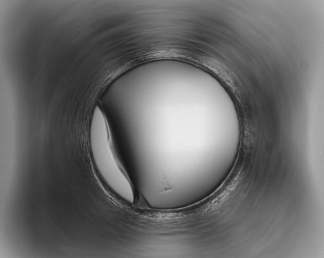 X0000095930849200802011019