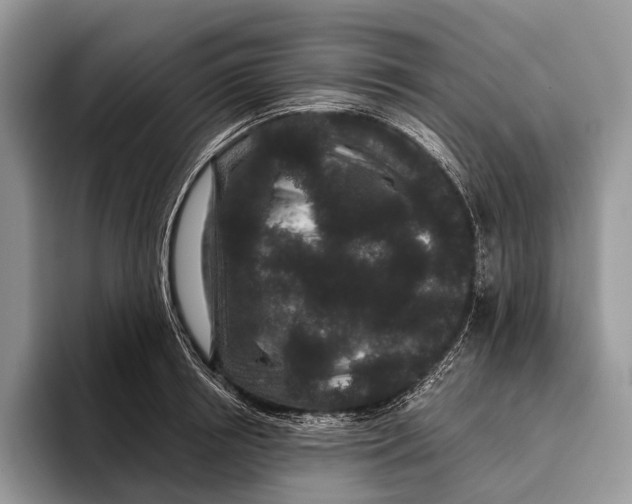 X0000095930850200802011019