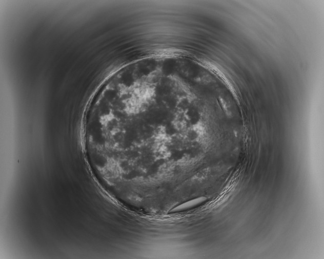 X0000095930851200802011020