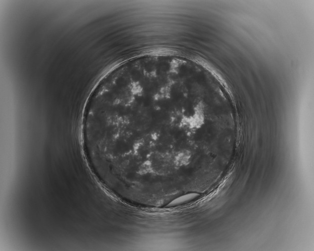 X0000095930853200802011020