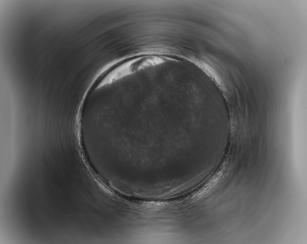 X0000095930854200802011020