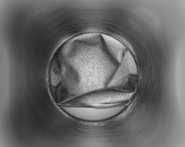 X0000095930855200802011020