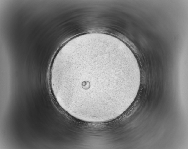 X0000095930856200802011020