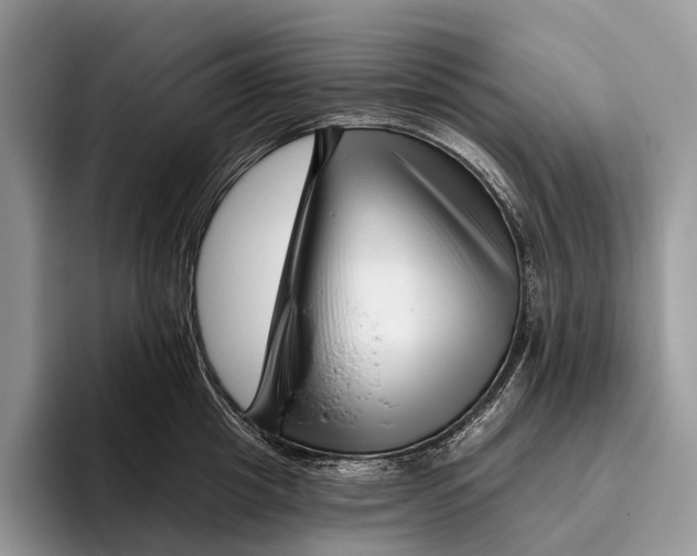 X0000095930857200802011020