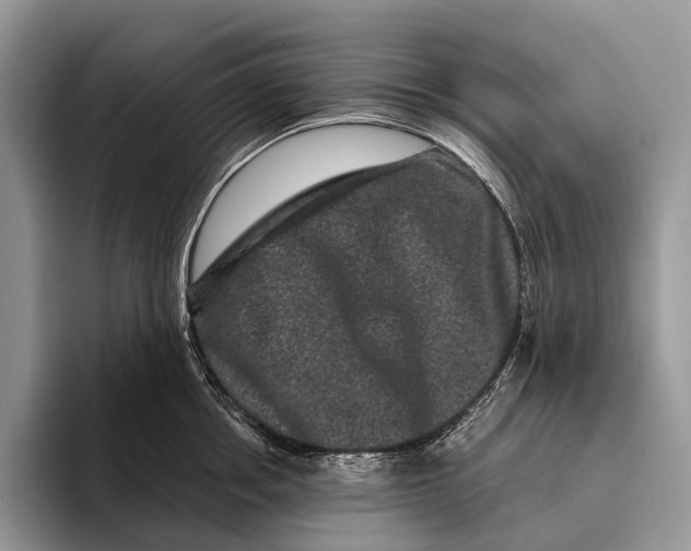 X0000095930858200802011020