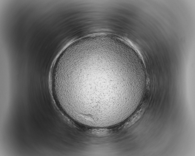 X0000095930859200802011020