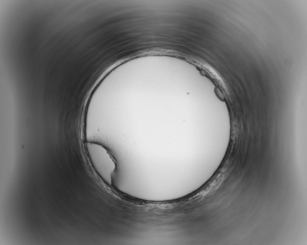 X0000095930860200802011020
