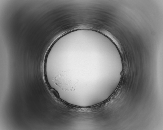 X0000095930861200802011020