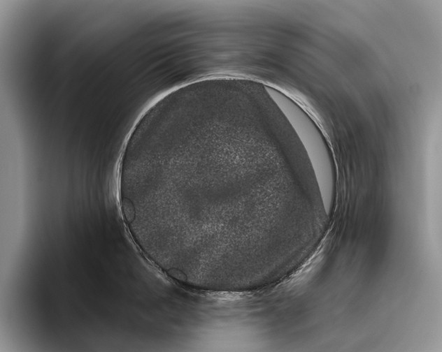 X0000095930862200802011020