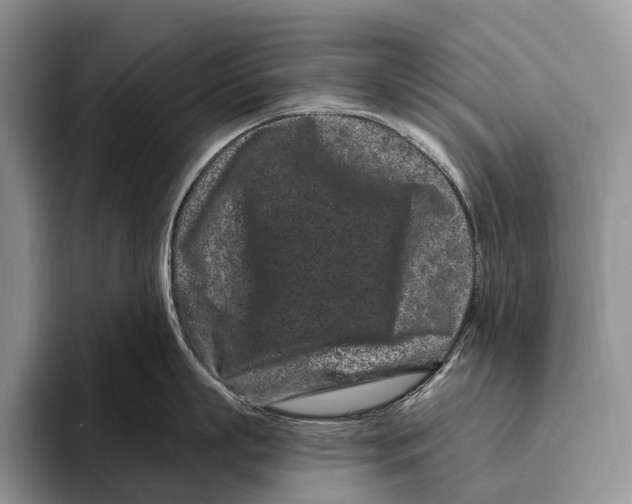 X0000095930863200802011020