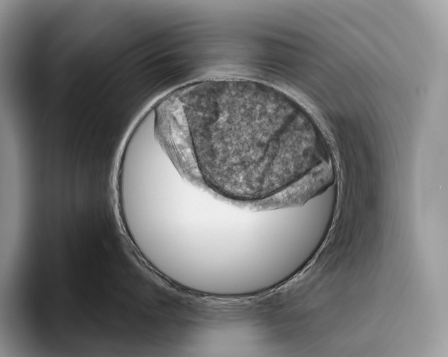 X0000095930864200802011020
