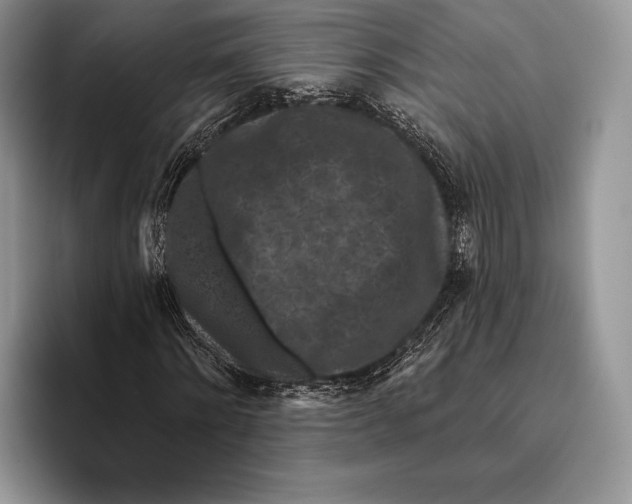 X0000095930868200802011019
