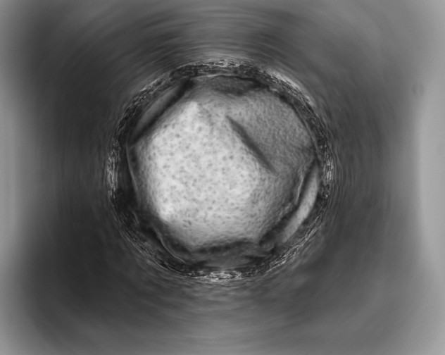 X0000095930869200802011019