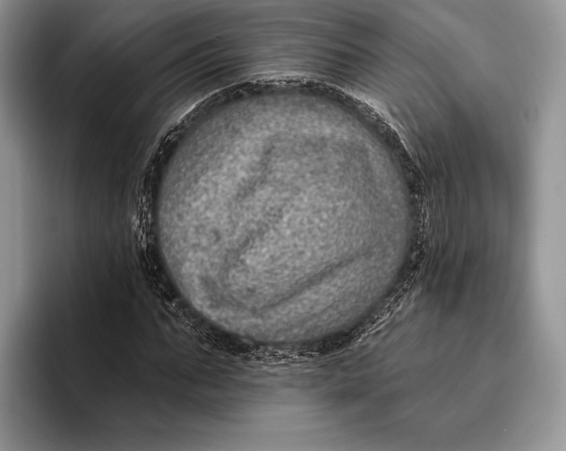 X0000095930871200802011019