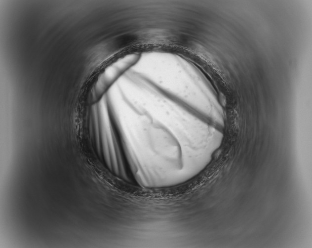 X0000095930872200802011019