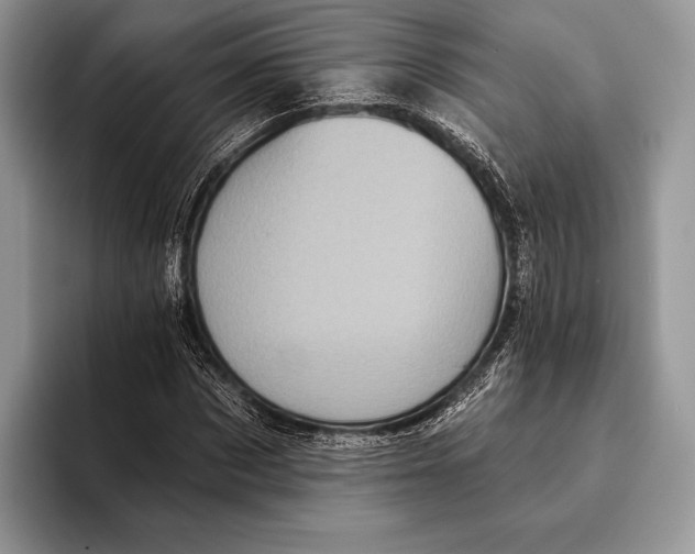 X0000095930873200802011019