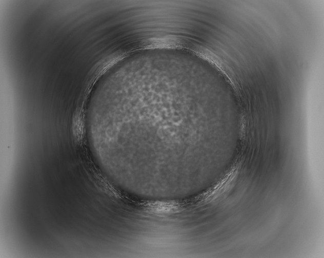 X0000095930874200802011019