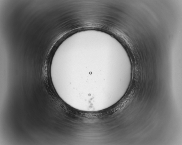 X0000095930875200802011019