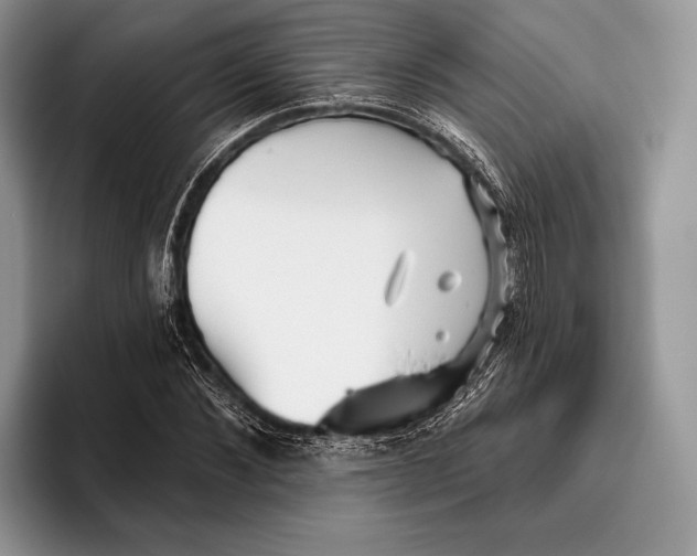 X0000095930876200802011019
