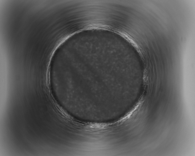 X0000095930877200802011019