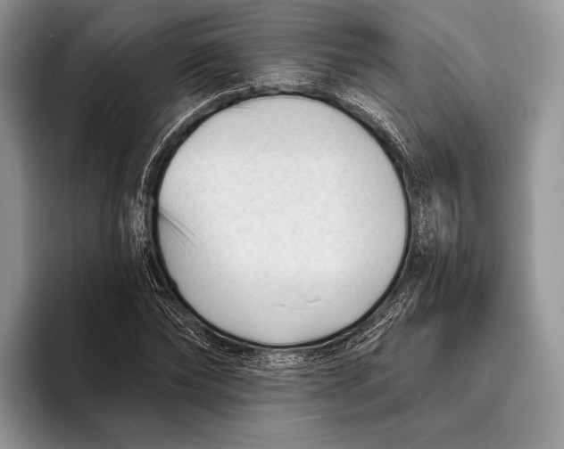 X0000095930878200802011019