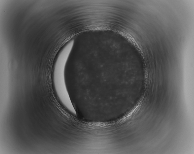 X0000095930881200802011019