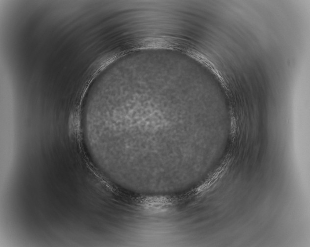 X0000095930882200802011019