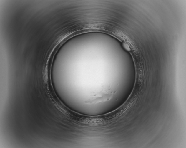 X0000095930884200802011019