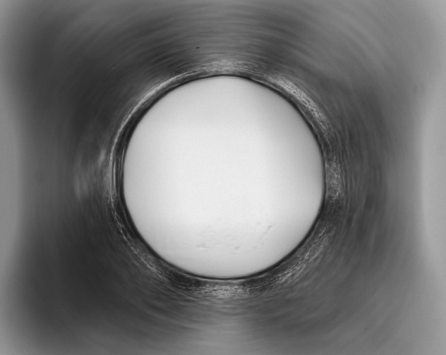 X0000095930886200802011019